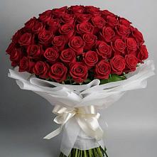 Букет 101 Красная роза Блэк Мэджик в Кузнечное