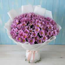 Букет цветов из:  Хризантемы #REPLACE_PRED# Кузнечное