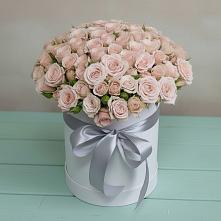 Цветочная композиция из Розы в шляпной коробке #REPLACE_PRED# Кузнечное