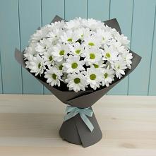 Букет цветов из:  Хризантемы #REPLACE_PRED# Кузнечное
