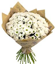 Букет цветов из:  Хризантемы #REPLACE_PRED# Кузнечное