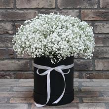 Цветочная композиция из Гипсофила в шляпной коробке в Кузнечное